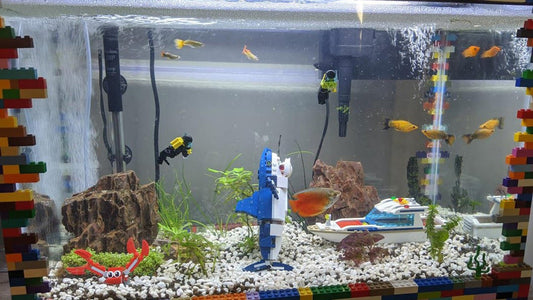 Can You Put LEGO in a Fish Tank - CADA BRICKS