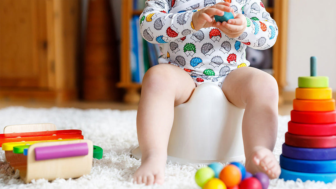 Best Potty Training Toys
