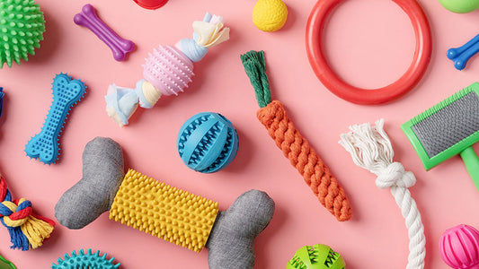 10 Best What Color Dog Toys Are (Reviews)